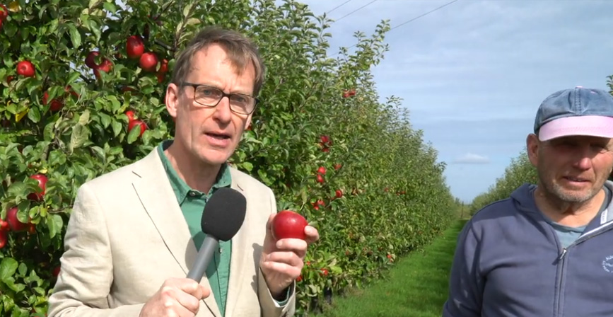 Southborough News – Apples: Mole End Farm 2023